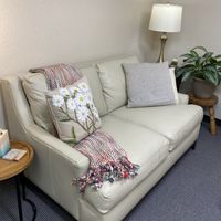 Gallery Photo of office couch