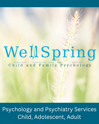 Photo of Robyn Van Brunt - WellSpring CFP Psychology & Psychiatry , Psychologist, PhD, LCP