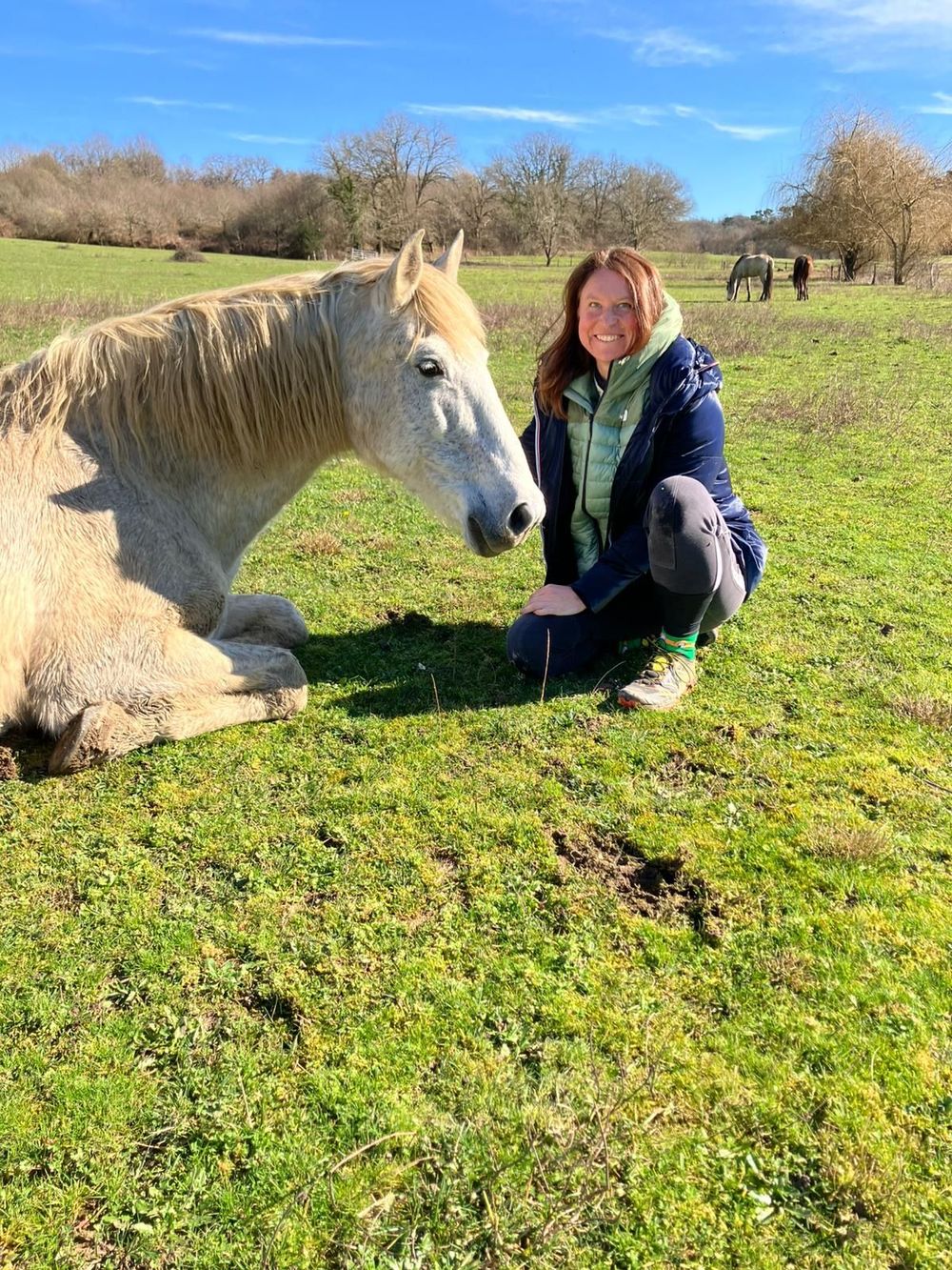 Equine faciliated therapy is a unique and beautiful experience :)