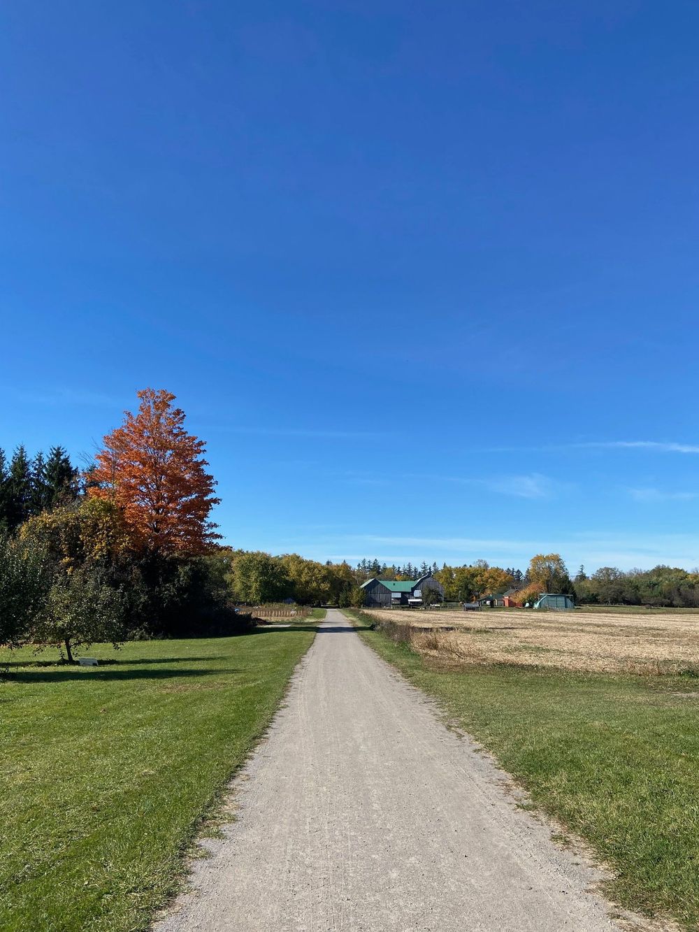 Willowgrove - site of our outdoor walk and talk sessions