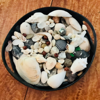 Gallery Photo of Photo image, a sensory tray filled with different sizes and colours of shells.  Stones and sea glass as well as beads rest in a black tray