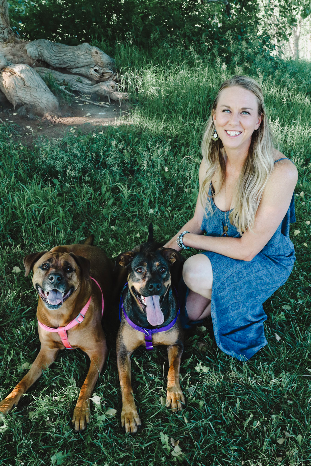 You might see my fur kids during our telehealth sessions!