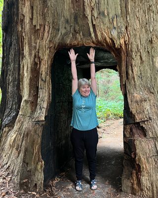 Photo of Sue Cirillo - ABLE - A Better Life for Everyone, Marriage & Family Therapist, MA, LMFT, AT