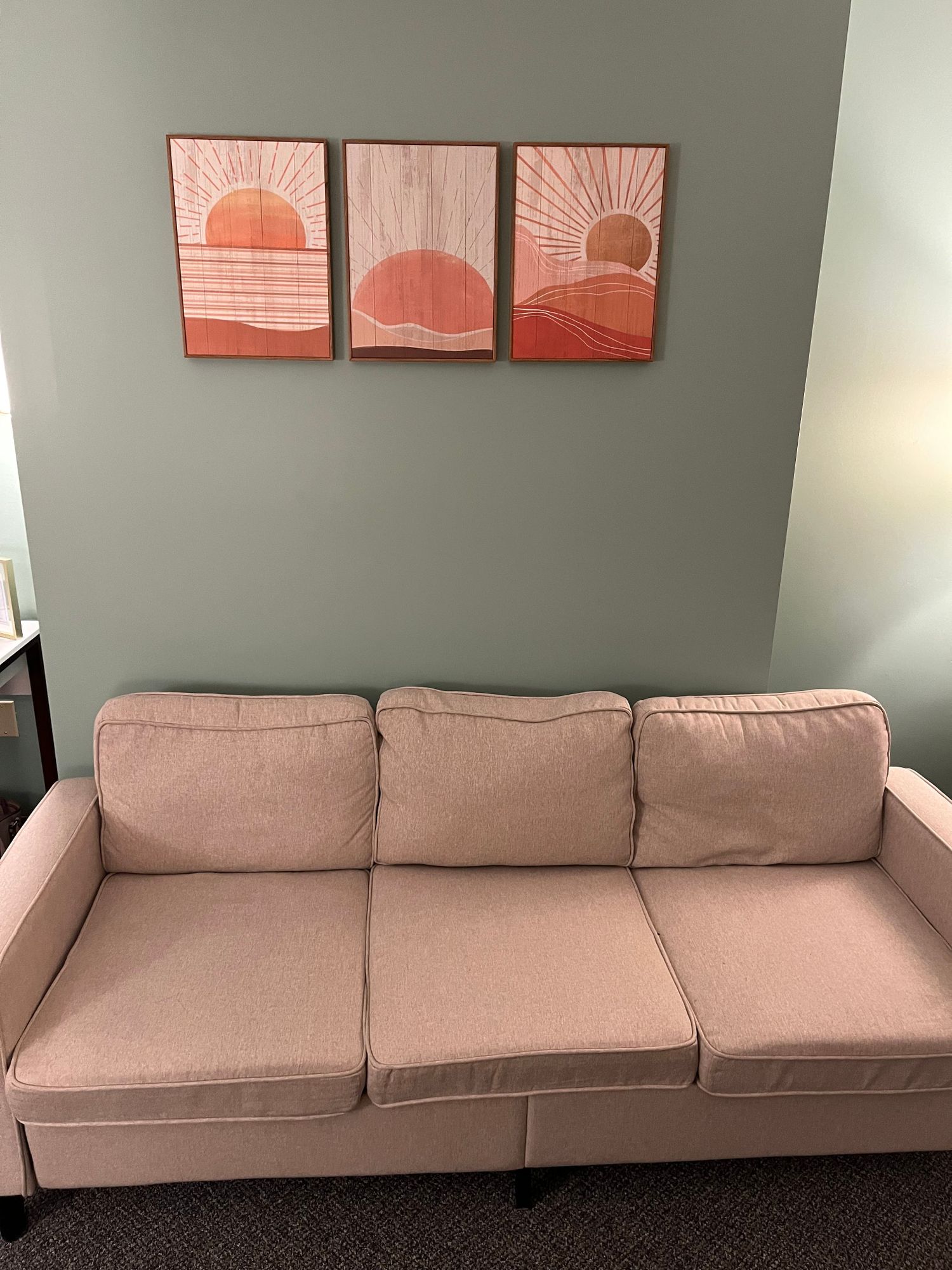 Reagan Hurley, Clinical Social Work/Therapist, Kalamazoo, MI, 49008