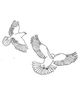 Photo of Two Doves Psychotherapy Services, Group Practice