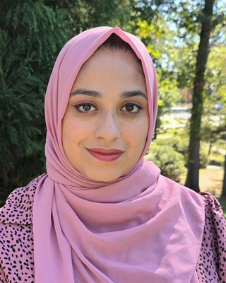 Photo of Raazia Ali, Clinical Social Work/Therapist, LCSW