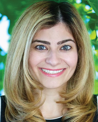 Photo of Sourena Haj-Mohamadi, Psychologist, PhD
