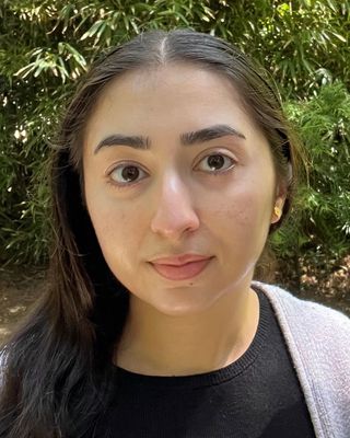 Photo of Afsha Saleem, Marriage & Family Therapist Associate, AMFT