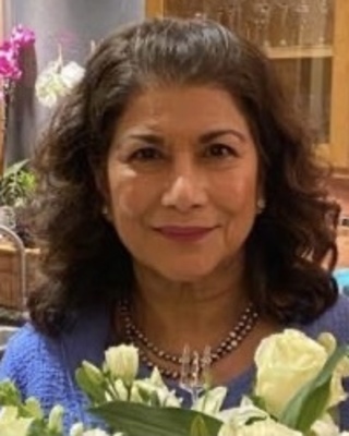 Photo of Mohini Wagle-Schmitt, Licensed Professional Counselor in Pittsburgh, PA