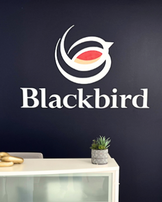 Photo of Kelly Ann Haranczak - Blackbird Health, Clinical Social Work/Therapist, LCSW