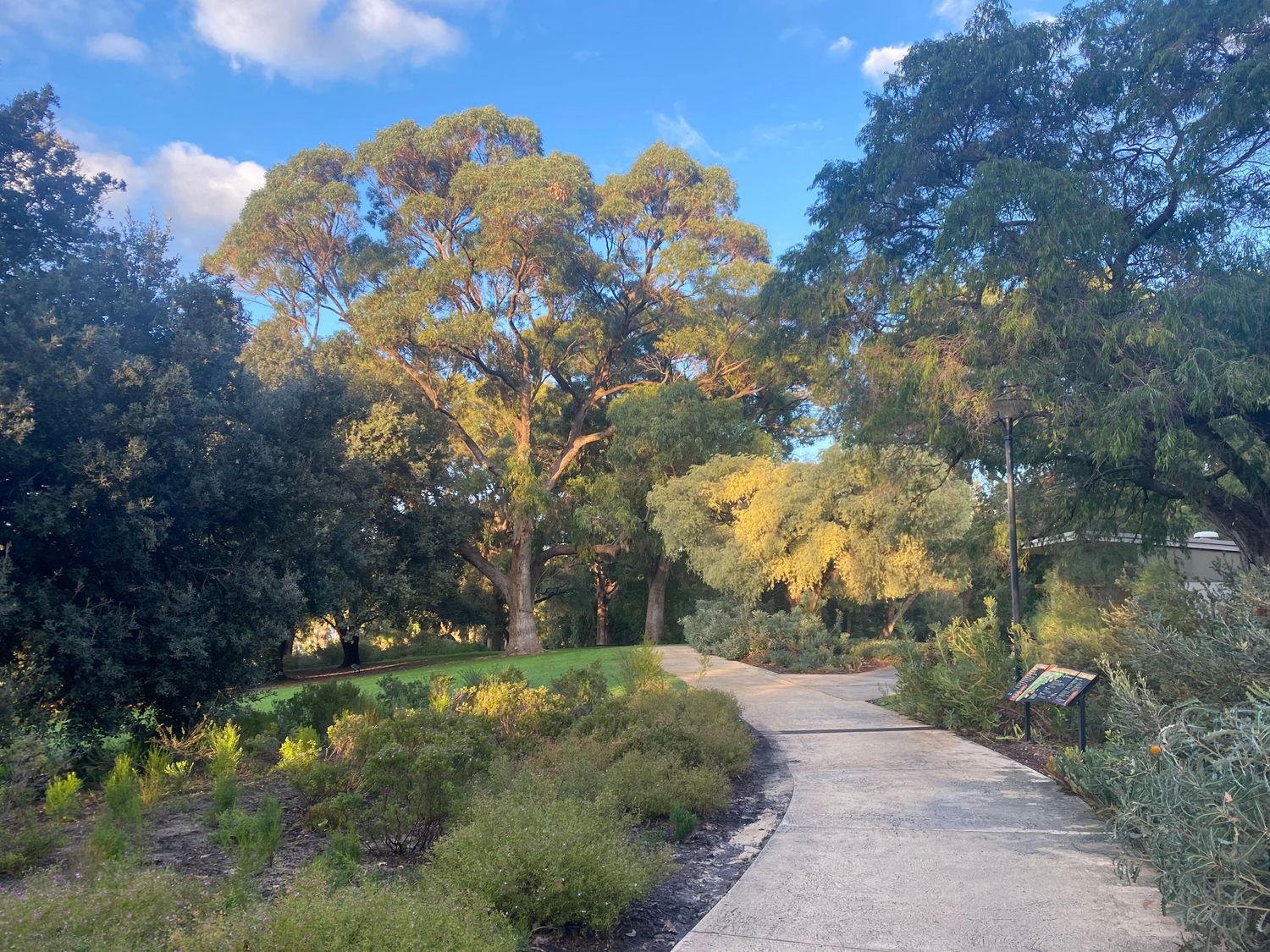 Gallery Photo of Kings Park Botanical Gardens is a great spot for Walk and Talk Sessions