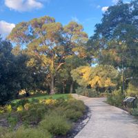 Gallery Photo of Kings Park Botanical Gardens is a great spot for Walk and Talk Sessions
