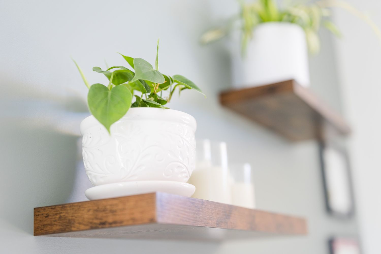 Stephanie Coady, Counsellor, Fredericton, NB, E3A Psychology Today