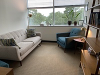 Gallery Photo of Therapy consulting office view