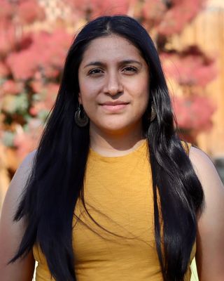 Photo of Paulina Barboza, Clinical Social Work/Therapist, LMSW, CSW-I
