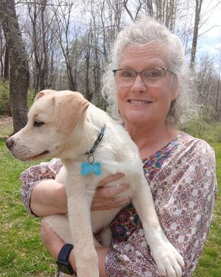 Photo of Jo Ann Orr, Clinical Social Work/Therapist, LCSW