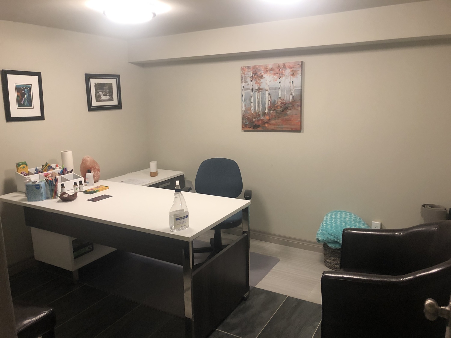 Lori Gill Psychotherapy Holistic Wellness, Treatment Centre, Saint