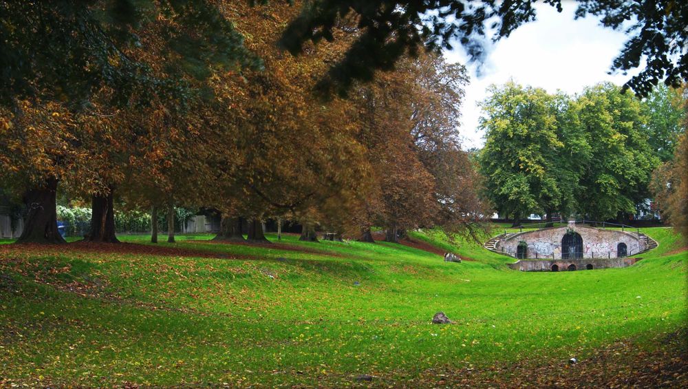 Carshalton Park