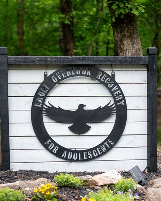 Photo of Kambiz Aflatoon - Eagle Overlook Recovery for Adolescents, Treatment Center, DO