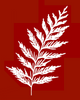 Photo of Red Cedar Psychotherapy, Group Practice