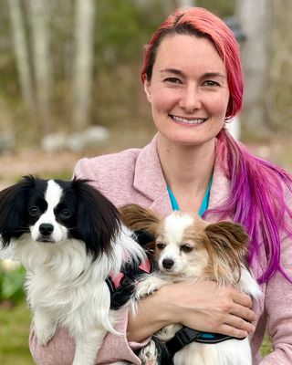 Photo of Katie Ziskind, Marriage & Family Therapist in Connecticut