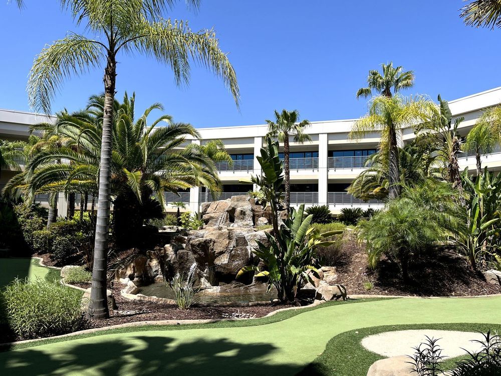A calm, private space for in-person sessions in Rocklin, CA.