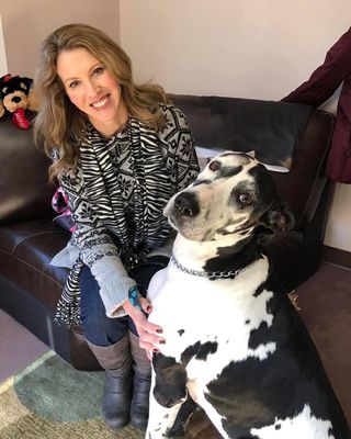 Photo of Lori A Feeney - Peaks and Valleys Counseling Services, LLC, Clinical Social Work/Therapist, LCSW