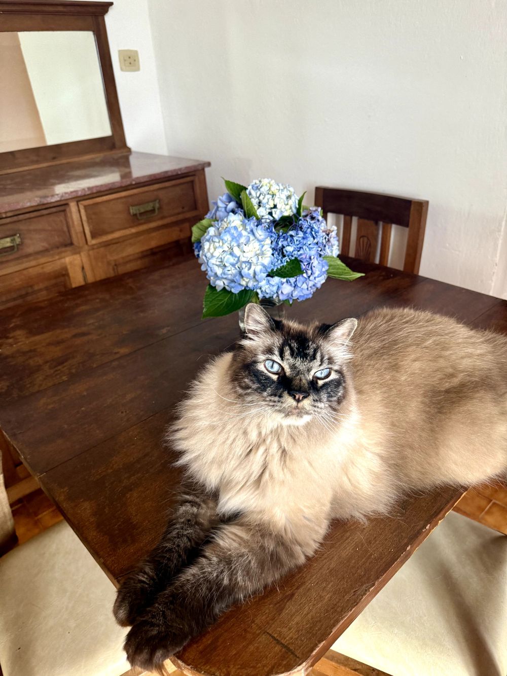 My lovely co-worker often joins in on sessions.