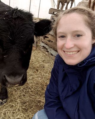 Photo of Lauren Herlihy, Counselor, MA, LMHC