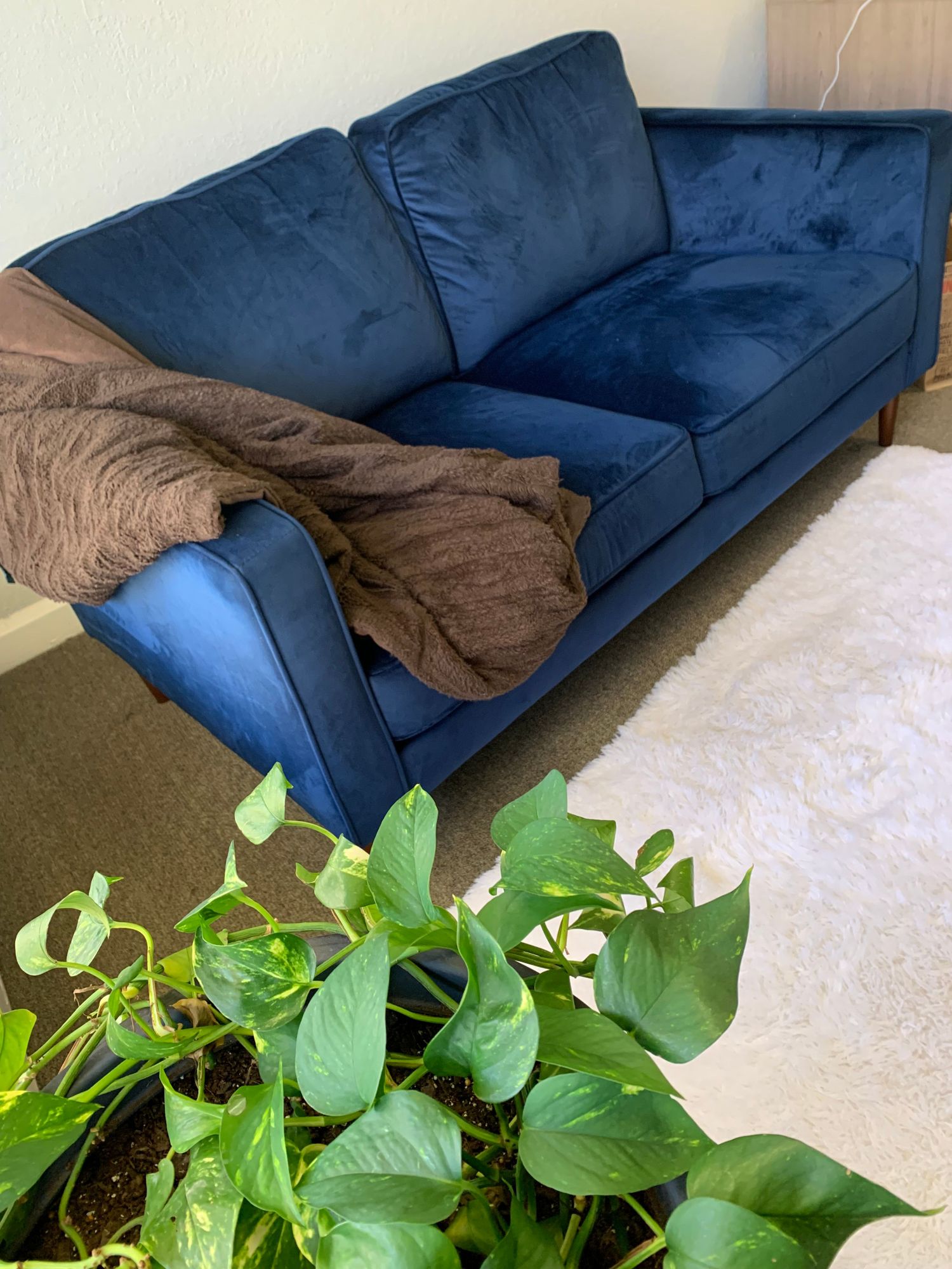 Gallery Photo of My favorite spot in my office.  The blue sofa.  No matter our challenges or difficulties. We should all have a safe space to share our deepest selves.