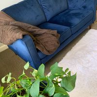 Gallery Photo of My favorite spot in my office.  The blue sofa.  No matter our challenges or difficulties. We should all have a safe space to share our deepest selves.