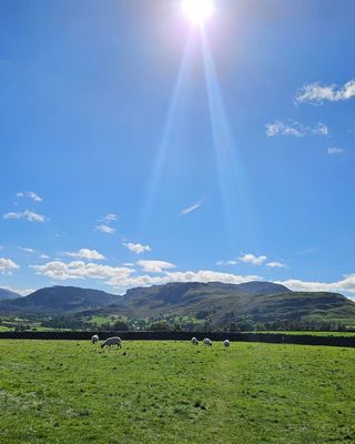 Photo of Erica Taylor-Staley, Counsellor, MBACP