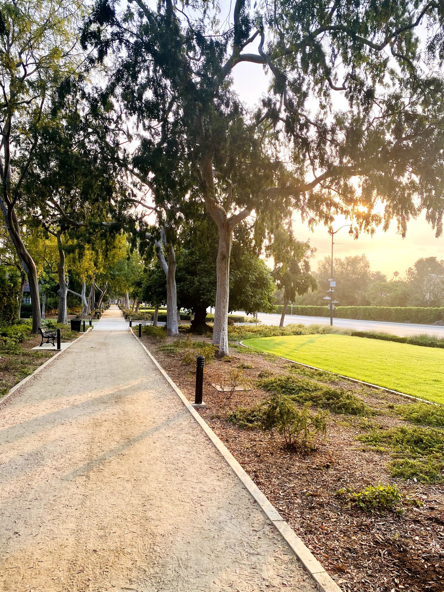 Gallery Photo of Walk Therapy Sessions In Beverly Hills