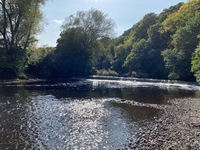 Gallery Photo of Where I meet clients for outdoor walk & talk therapy - Woodbank Park in Stockport along the River Goyt