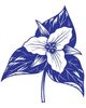 Photo of Trillium Psychological Services, Group Practice