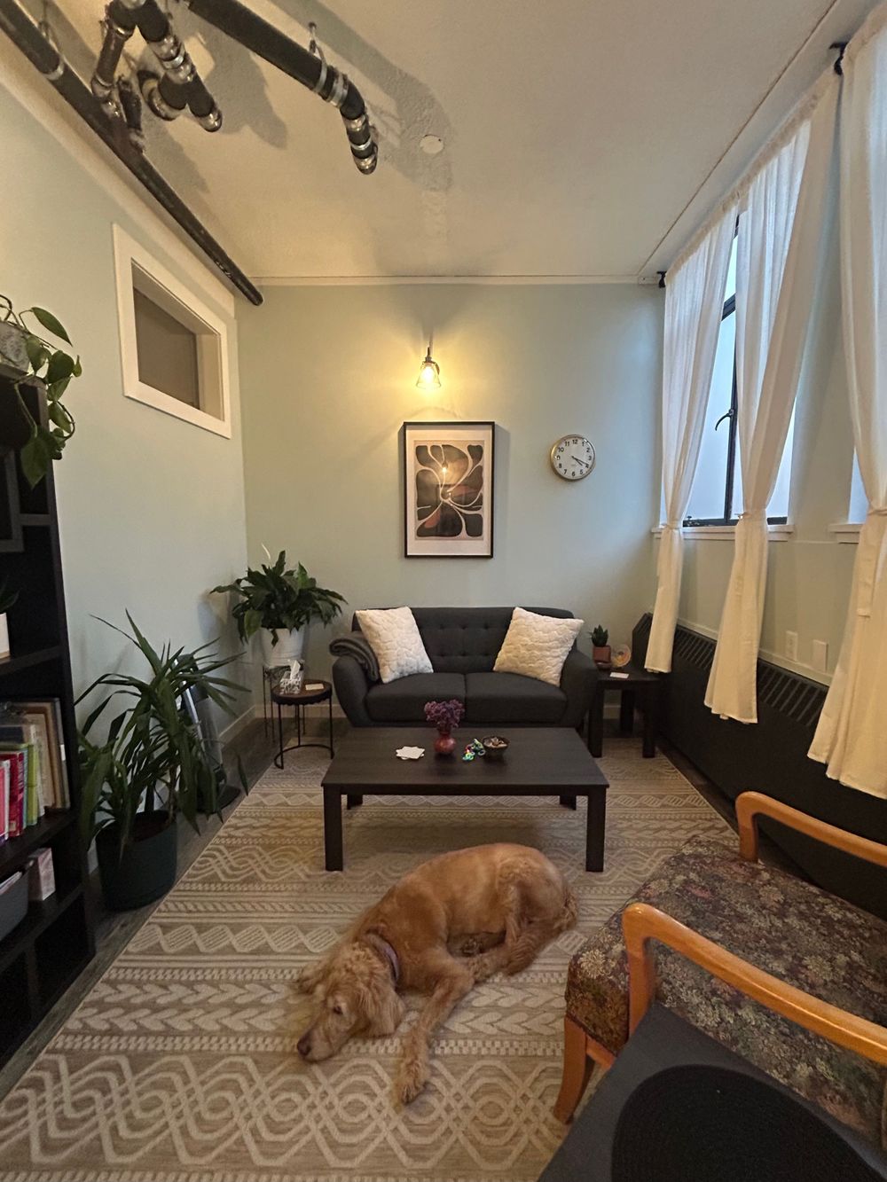 Our therapy space for in person sessions. My pup may join on occasion for those who enjoy the presence of an animal. 