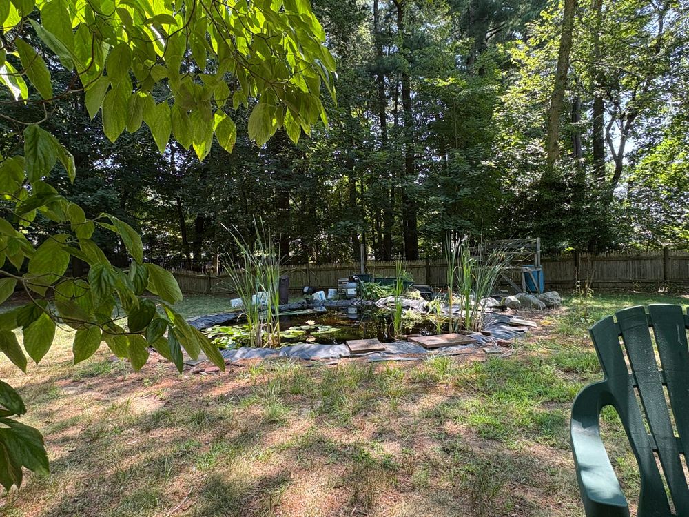 My summer office is under the tree next to the pond. This is why most clients choose to do their in-person appointment(s) in the summer.