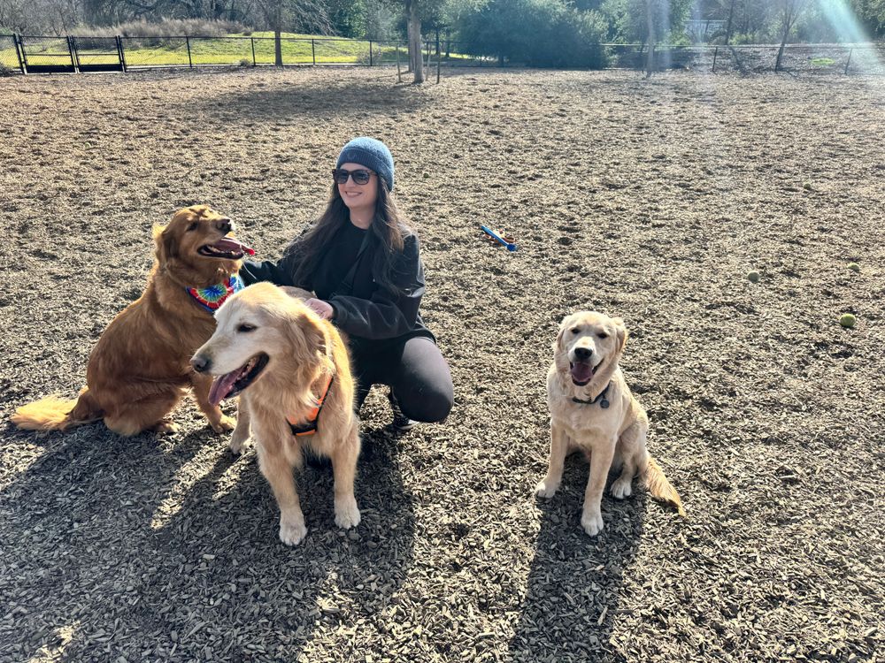 Keeping it golden at my monthly retriever meet-up. Mine's the groovy dude on the left.