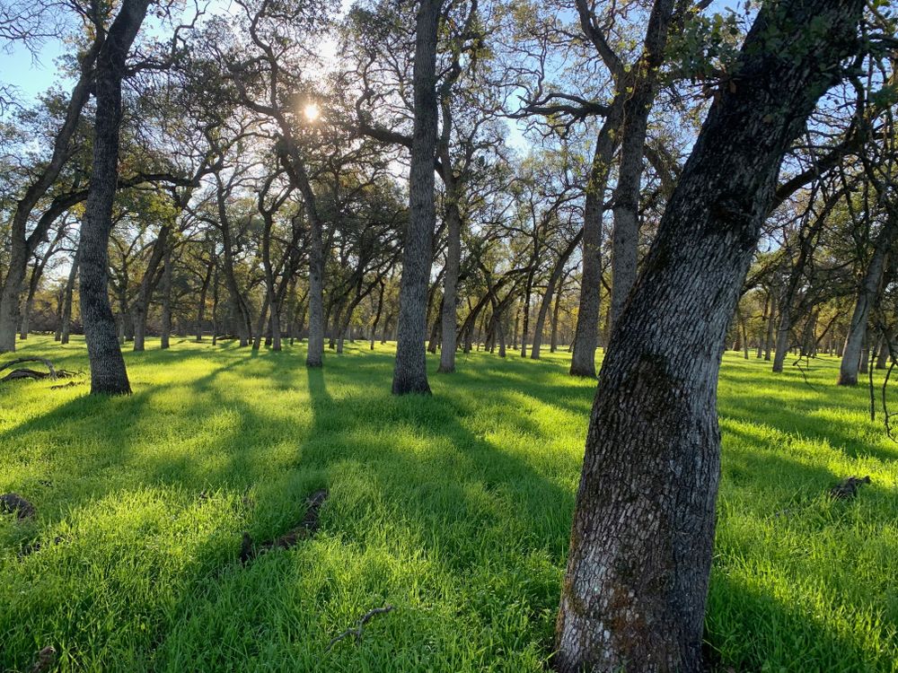 Dr. Mark Chofla Empathy Therapy, Psychiatrist, Fresno, CA, 93720