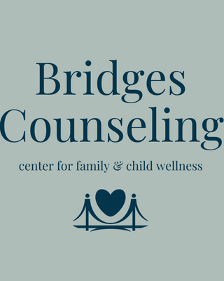 Photo of Heather DiDomenico - Bridges Counseling Ctr for Child & Family Wellness, Licensed Professional Counselor, LPC, LCSW, LCADC, LAMFT, MS