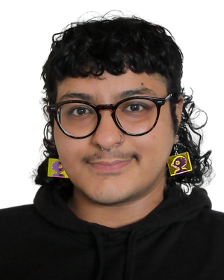 Photo of Maryam Mian, Licensed Master Social Worker, LMSW