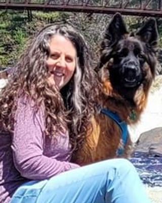 Photo of Andrea D Misch, Clinical Social Work/Therapist, LMSW, CAADC, CCS