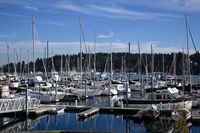 Gallery Photo of Office located in Eagle Harbor waterfront and within walking distance from the Seattle Bainbridge Ferry.