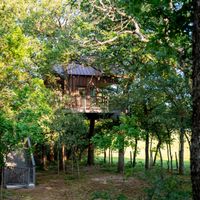 Gallery Photo of Treehouse