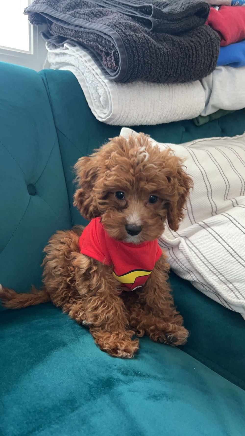 Here is a pic of Denvie!  