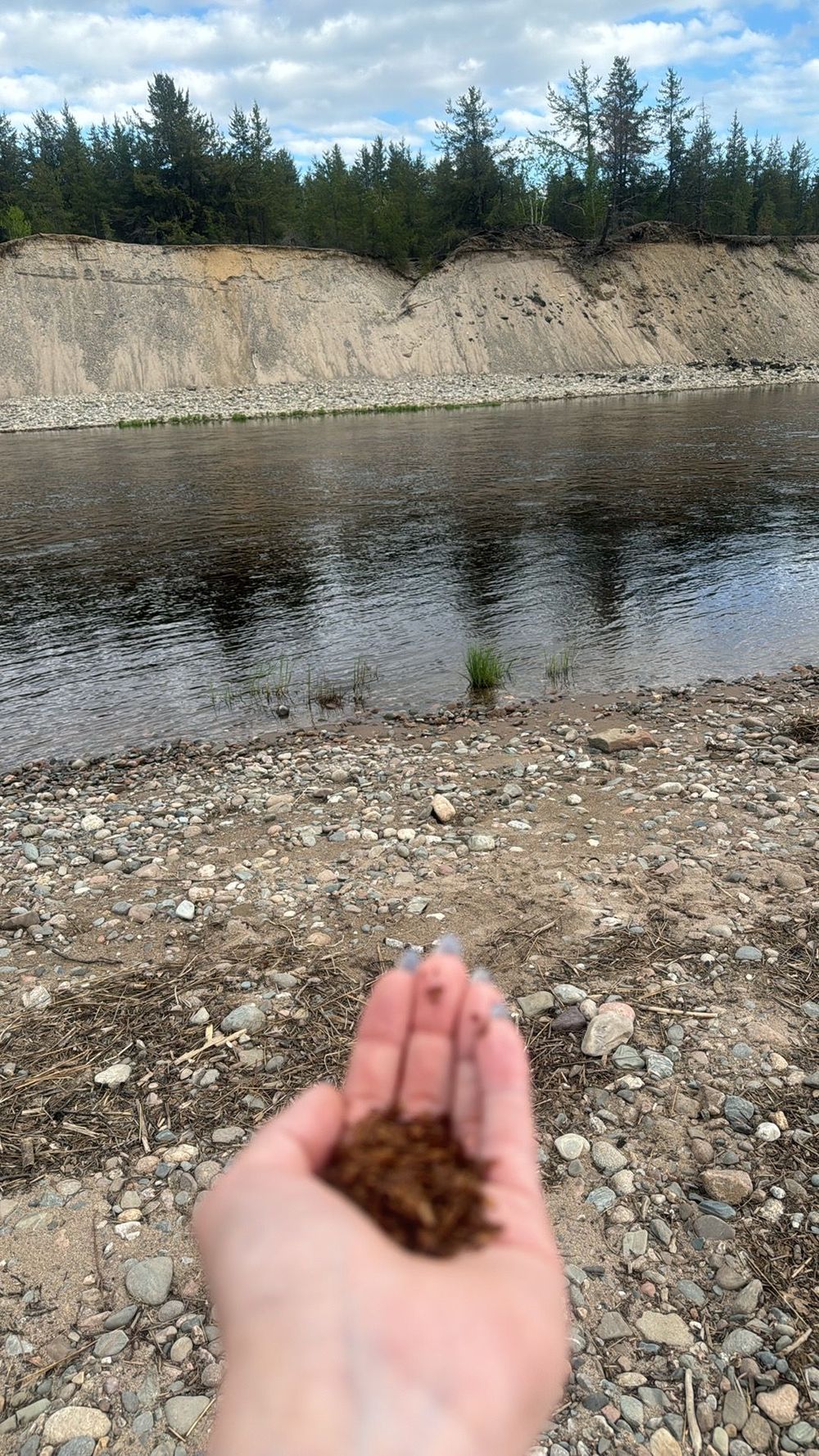 Tobacco offering at the Second Oxbow