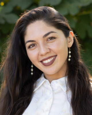 Photo of Dorsa Jahanbakhsh, MA, Pre-Licensed Professional