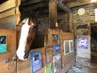Gallery Photo of Horses invite presence. Meet the herd in this historic barn featuring affirmations, inspiring quotes and wisdom generously shared by others.