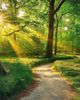 Photo of Purposeful Pathways Inc., Group Practice