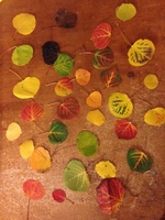 Gallery Photo of Aspen leaves